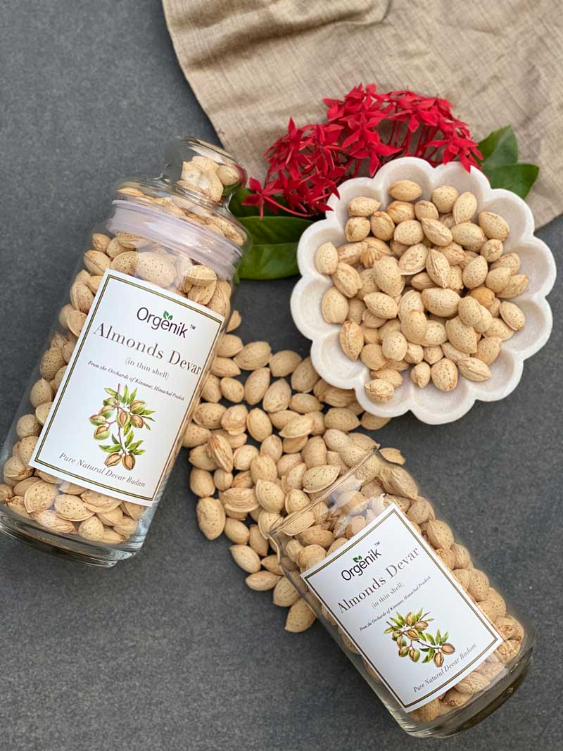 Orgenik: Shop Natural Devar Almonds (Devar Badam) - Kinnaur from the brand Orgenik