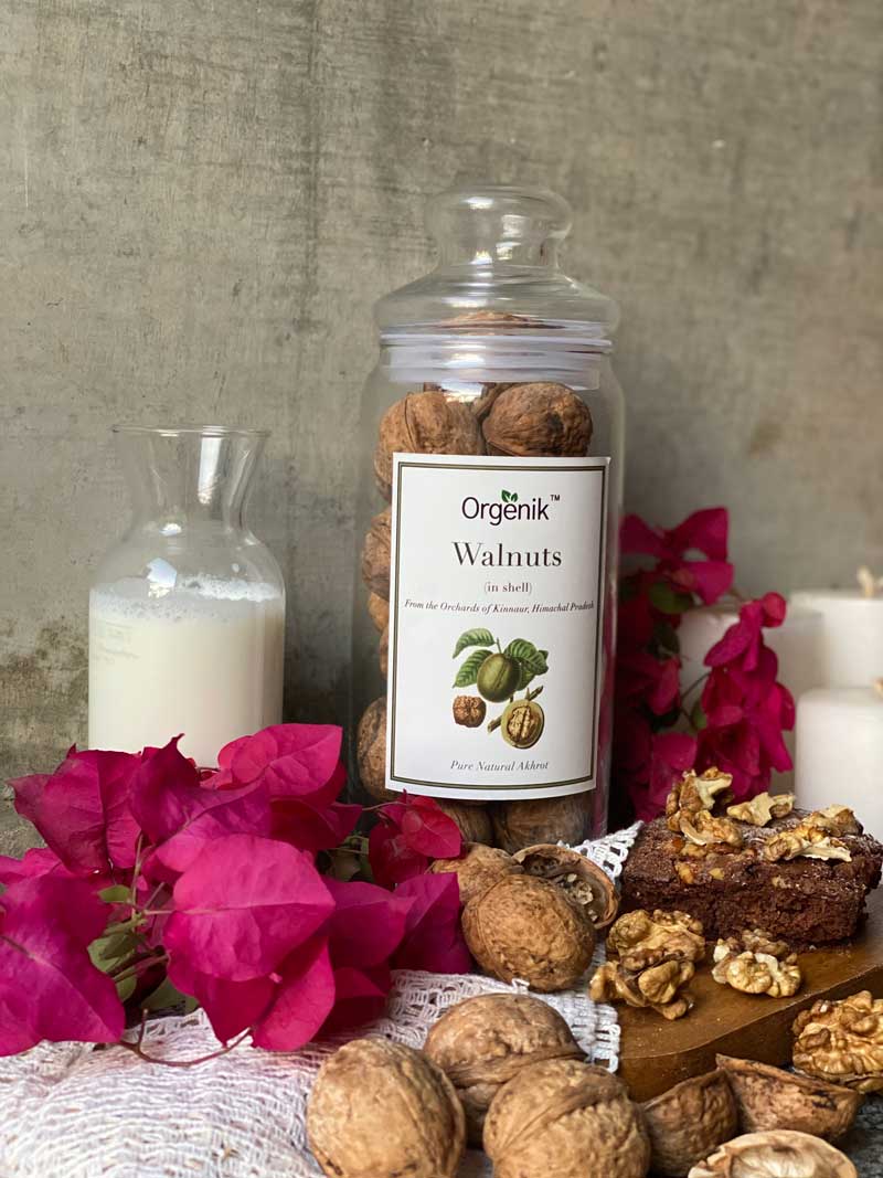 Orgenik: Shop Natural Walnuts (in shell) - Kinnaur from the brand Orgenik
