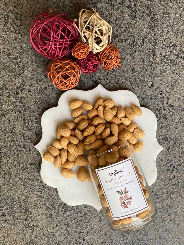 Orgenik: Shop Natural Kattha Almonds (Kattha Badam) - Kinnaur from the brand Orgenik