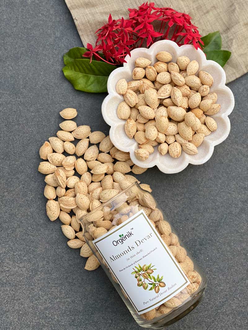 Orgenik: Shop Natural Devar Almonds (Devar Badam) - Kinnaur from the brand Orgenik