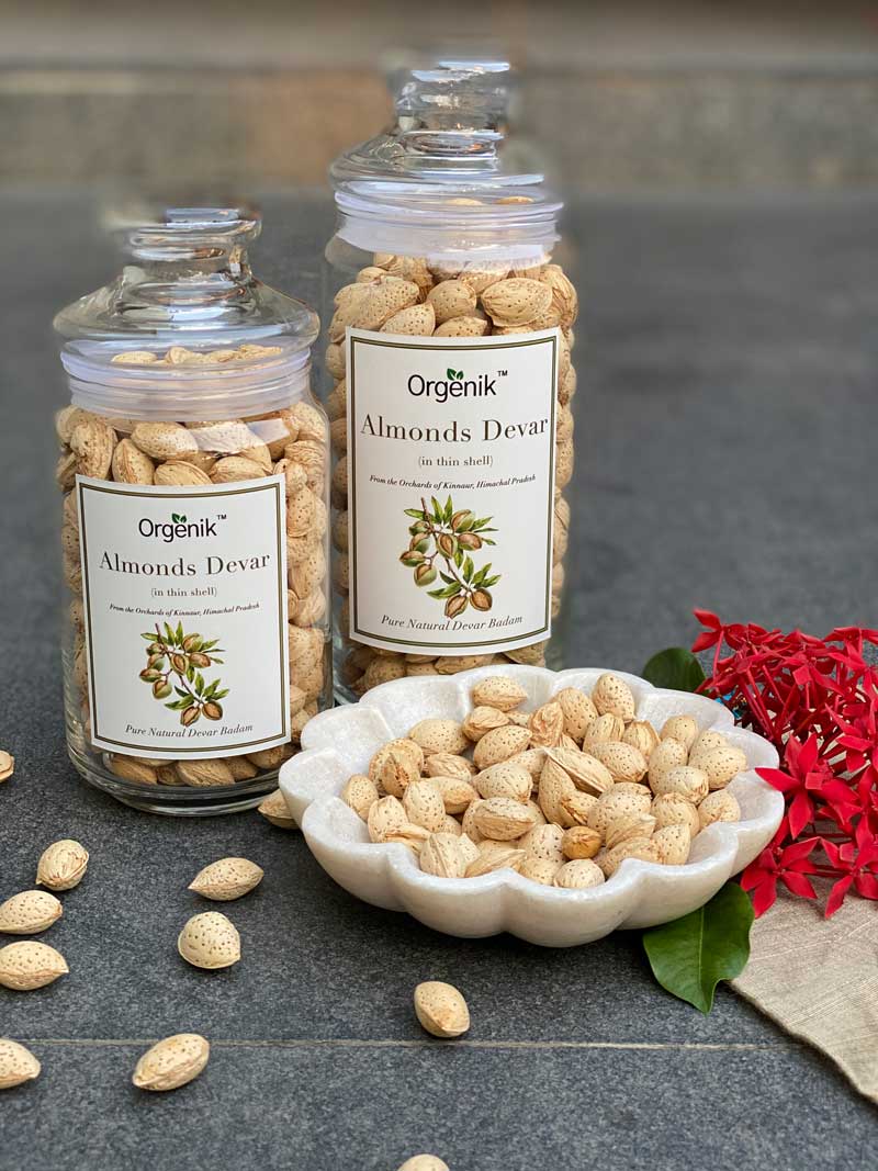 Orgenik: Shop Natural Devar Almonds (Devar Badam) - Kinnaur from the brand Orgenik