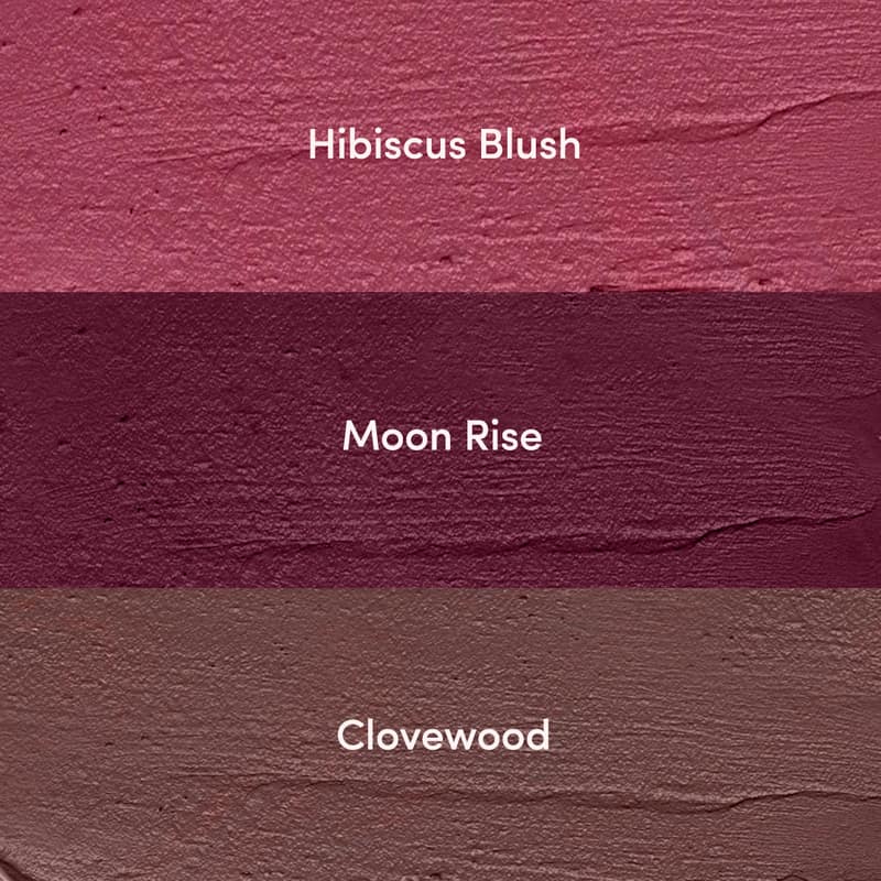 Orgenik: Mini lipstick Combo - Fusion Pack ( hibiscus + clovewood + moon rise) from the brand Klome Essentials
