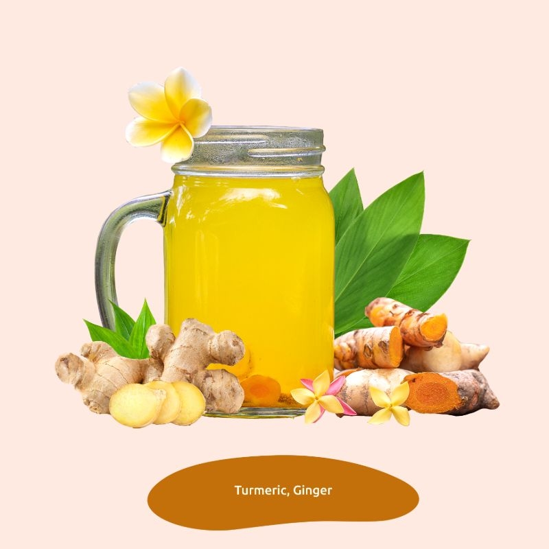 Orgenik: Turmeric Ginger Herbal Tea for Sore Throat Prevention and Boosting Imunity Spiced Rich with Anti-Oxidants 40 Pyramid Tea Bags - Pack of 2 from brand Freshleaf