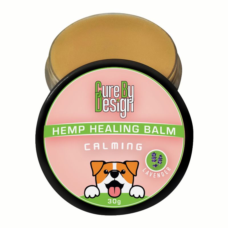 CBD42141
