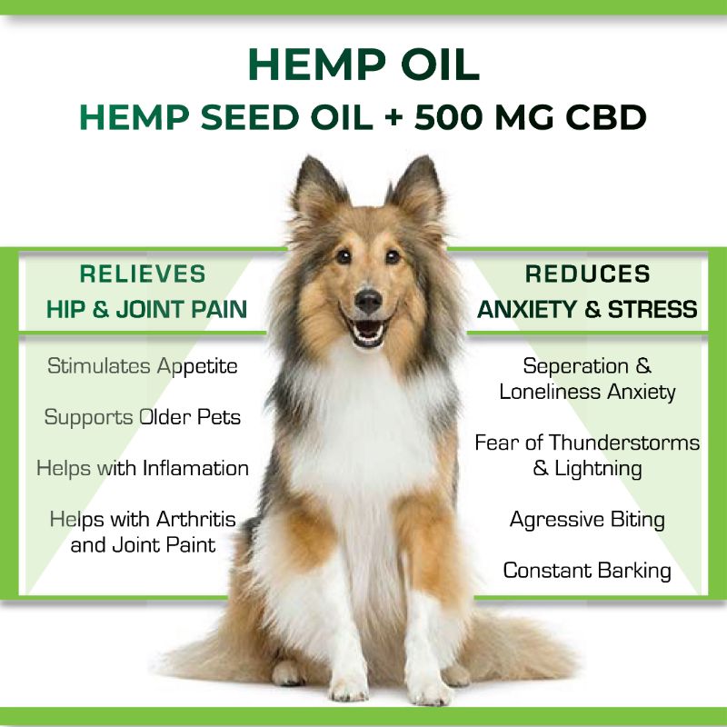 Orgenik: Hemp Oil with 500mg CBD for Pets from the brand Cure By Design