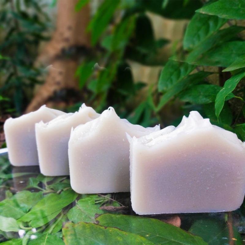 Orgenik: Shop Organic Coconut Milk & Rice Flour Skin Healing Bath Bar from brand Samisha