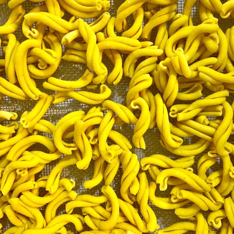 Orgenik: Turmeric Casarecce from brand Casarecce Artisanal Pasta