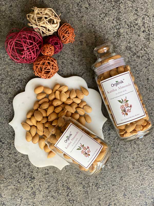 Orgenik: Shop Natural Kattha Almonds (Kattha Badam) - Kinnaur from the brand Orgenik