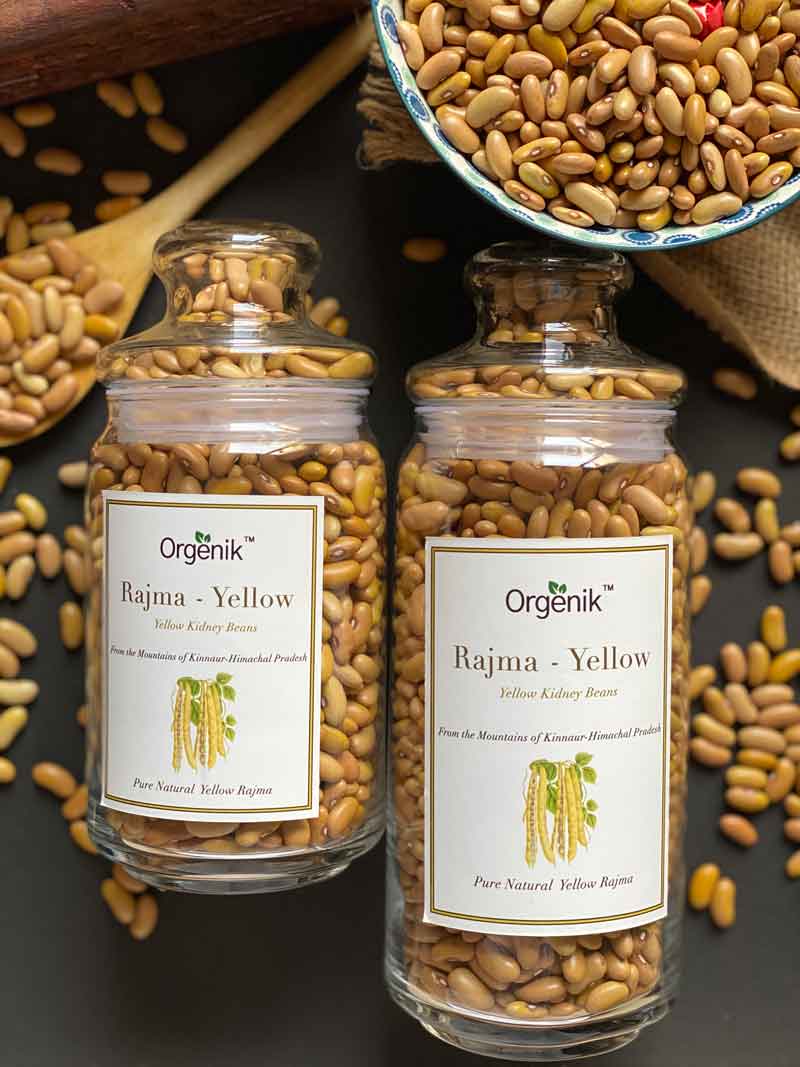 Orgenik: Shop Natural Rajma - Yellow (Kidney Beans) - Kinnaur from the brand Orgenik
